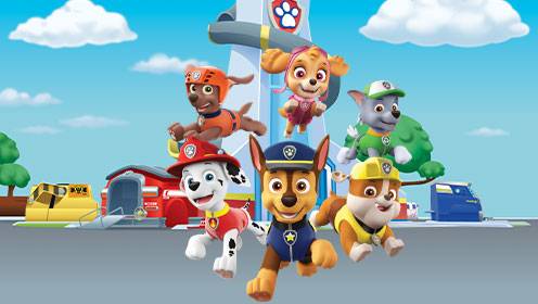 Paw Patrol S06 B06